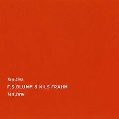 Ｆ．Ｓ ＢＬＵＭＭ＆ＮＩＬＳ ＦＲＡＨＭ ＴＡＧ　ＥＩＮＳ　ＴＡＧ　ＺＷＥＩ SONICPIECES23 買取1000円