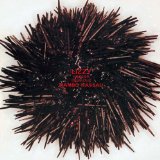 リジーメルシエデクルー おすすめ 名盤 まとめ